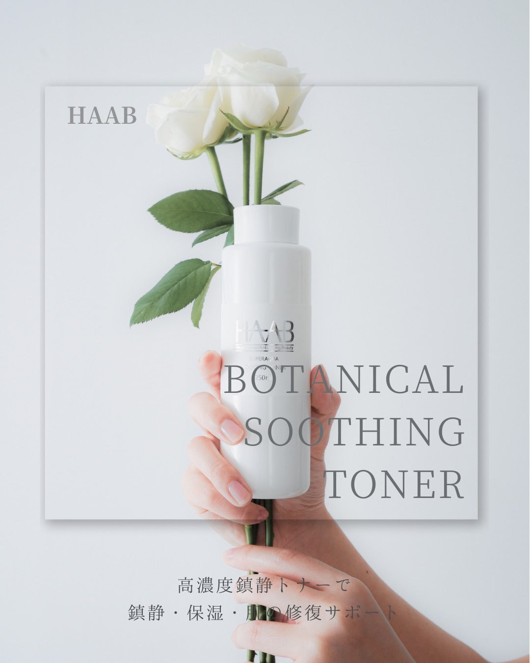 【周年限定】HAAB美肌SET